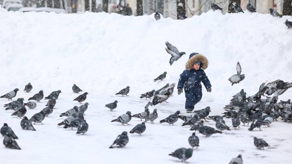 228 владимирских семей получили сертификат на материнский капитал в этом году