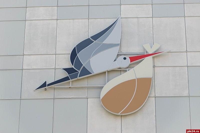 В Псковской области в январе родились 282 малыша — в том числе два ребёнка, которые стали десятыми детьми в своих семьях