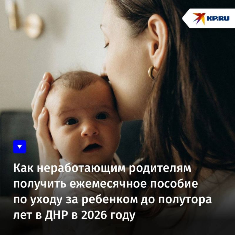 Как неработающим родителям получить ежемесячное пособие по уходу за ребенком до полутора лет в ДНР в 2026 году