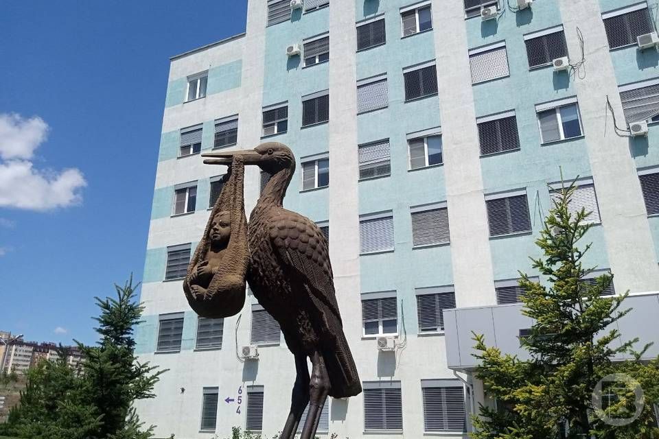 Четыре двойни в один день появились на свет в роддоме Волгограда