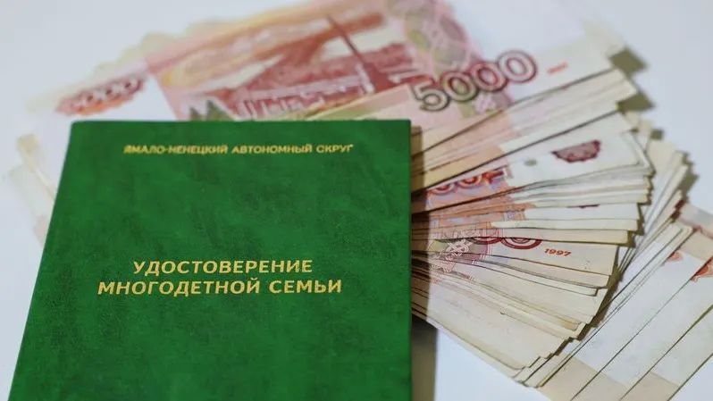 Депутат Панеш назвал самые востребованные налоговые льготы для многодетных семей