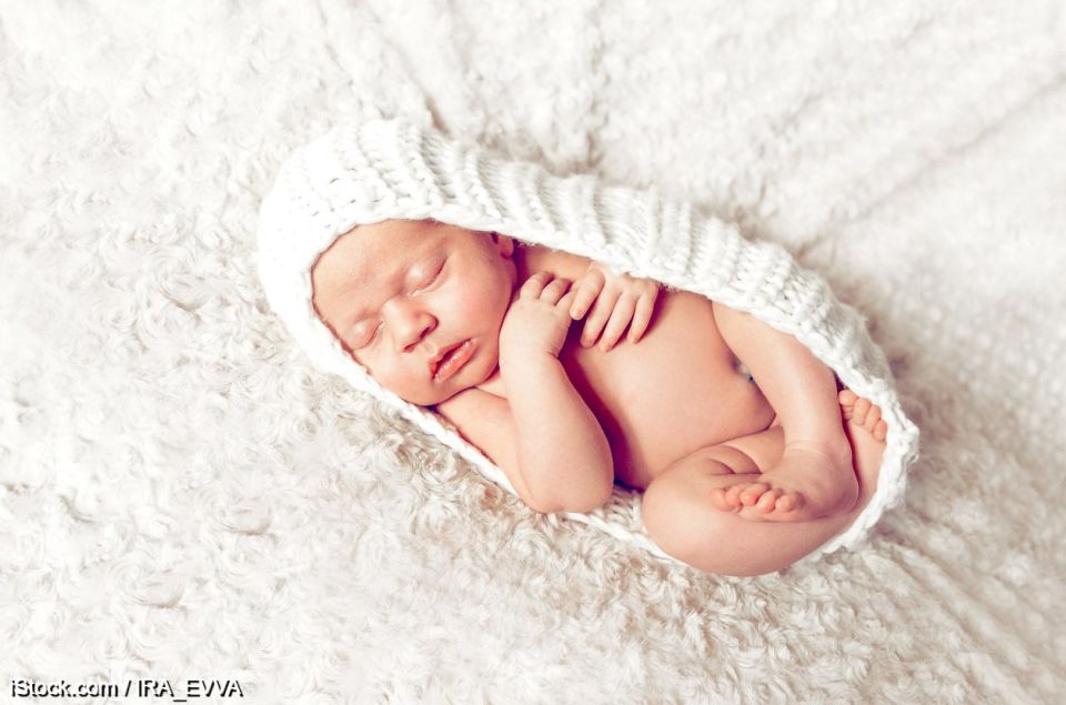 «Иногда природе нужна помощь»