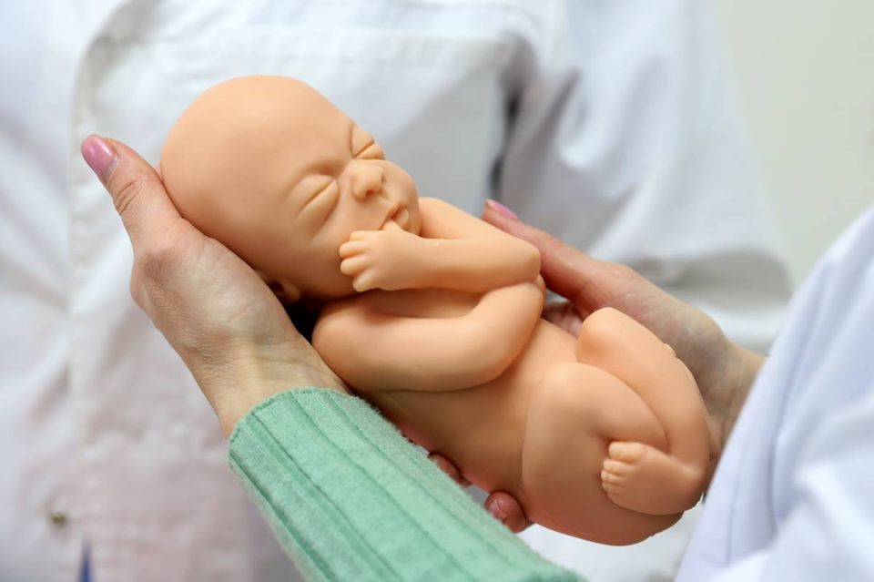 В женской консультации Вологодского городского роддома приступила к работе новая акушерка