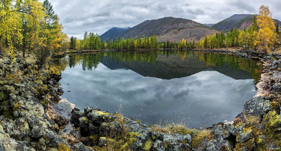 Двойное счастье: В Улан-Удэ родилась королевская двойня