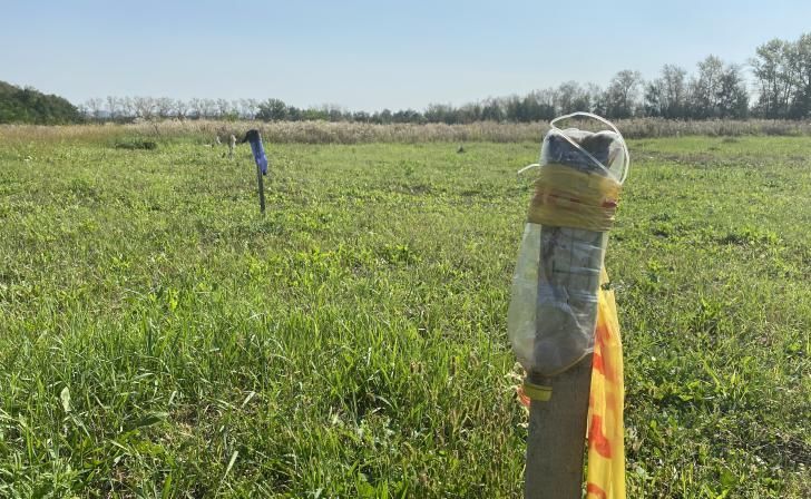 В Курском районе почти для 600 многодетных семей сформируют земельные участки