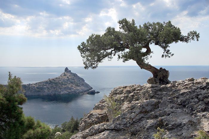 Безопасность в каждый дом: сотрудники МЧС России устанавливают пожарные извещатели в многодетных семьях крымчан