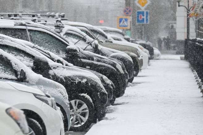 Парковку предложили сделать бесплатной для многодетных по всей России