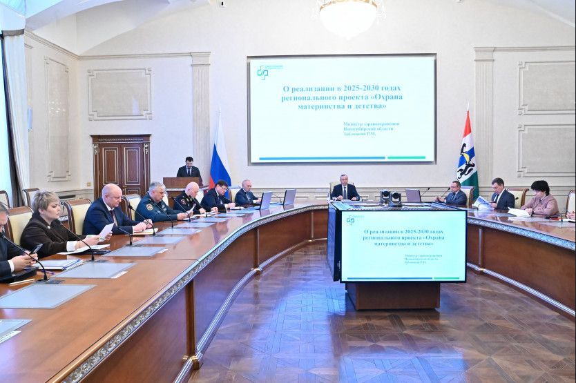 На реализацию проекта «Охрана материнства и детства» в рамках нацпроекта «Семья» в Новосибирской области запланировано почти 2 млрд рублей