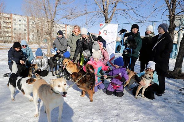 Воспитанники детского дома «Ласточка» осваивают профессию кинолога
