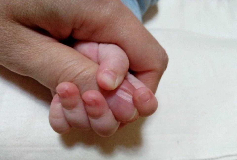 Служба личных консультантов будет сопровождать всех беременных женщин в Новгородской области