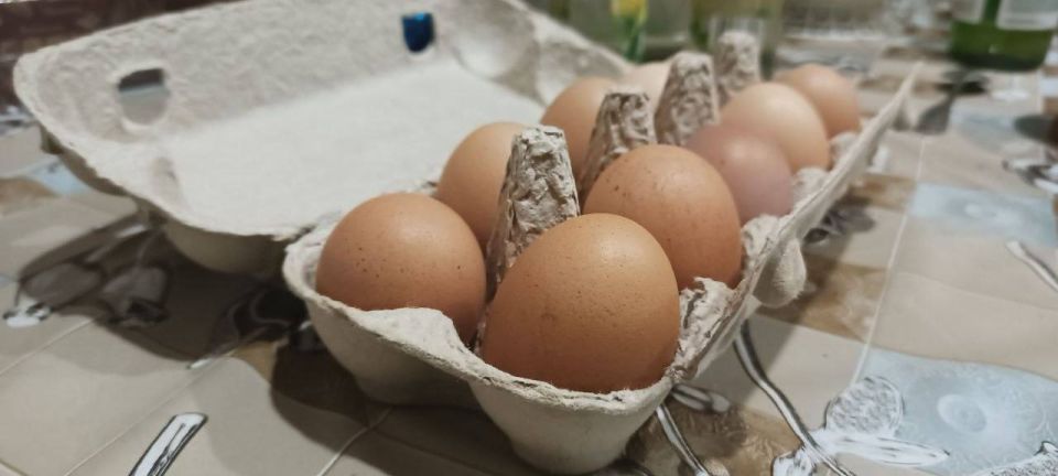 В Пензе многодетным семьям начнут выдавать столовые яйца вместо диетических