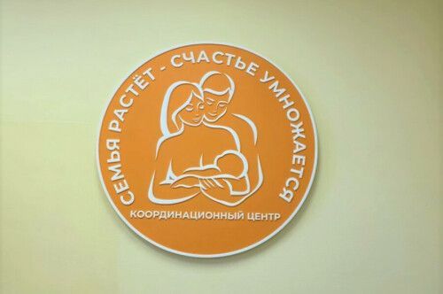 Сделать материнство счастливым: в Благовещенске открылся семейный центр нового формата