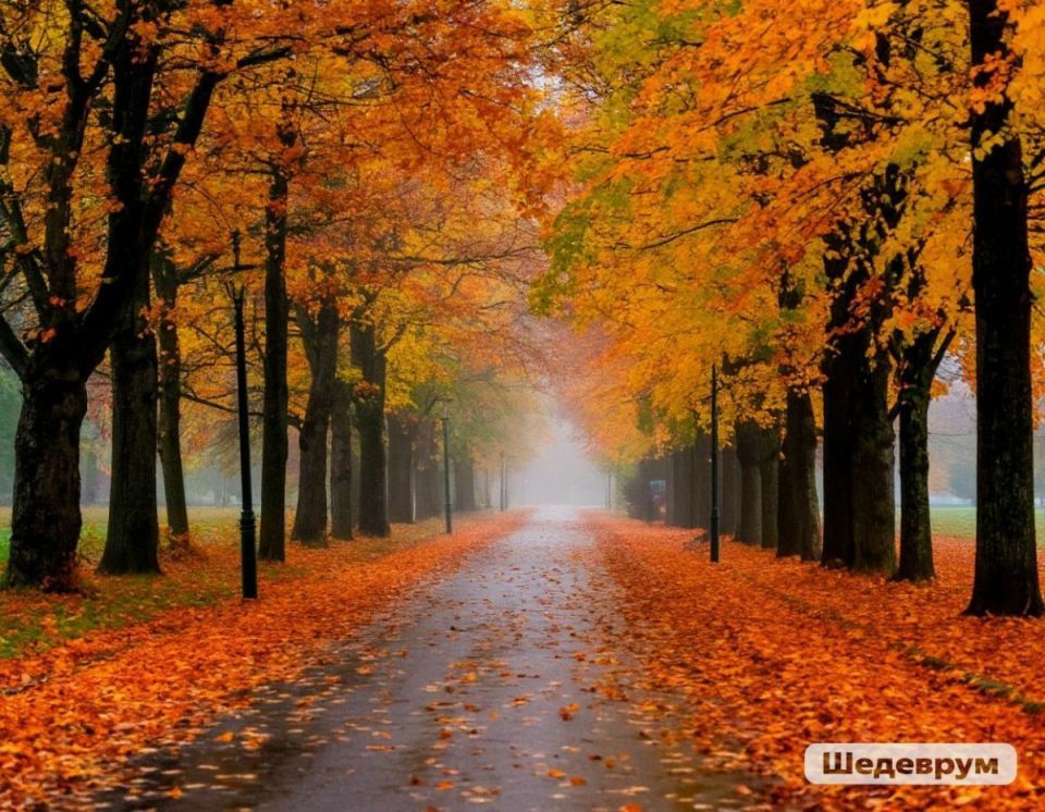 В Судогда прокуратура пытается заставить администрацию расчистить участок для многодетной семьи