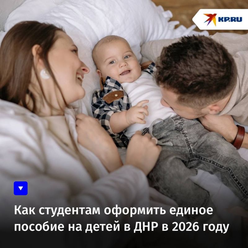 Как студентам оформить единое пособие на детей в ДНР в 2026 году