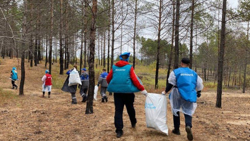 Амурскую молодёжь приглашают принять участие в областном конкурсе коротких видеороликов «ЭКО-ВИДЕО: 60 секунд с пользой для природы»
