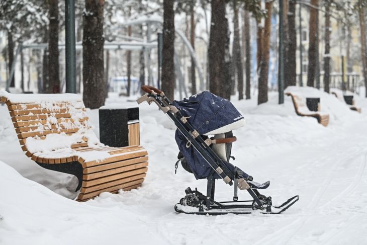 Более 120 тюменских студенток получили поддержку в период беременности