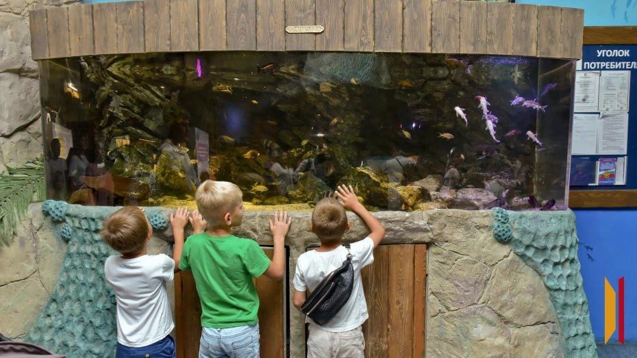 Воронежскую область признали одним из лучших регионов для многодетных семей по итогам 2025 года