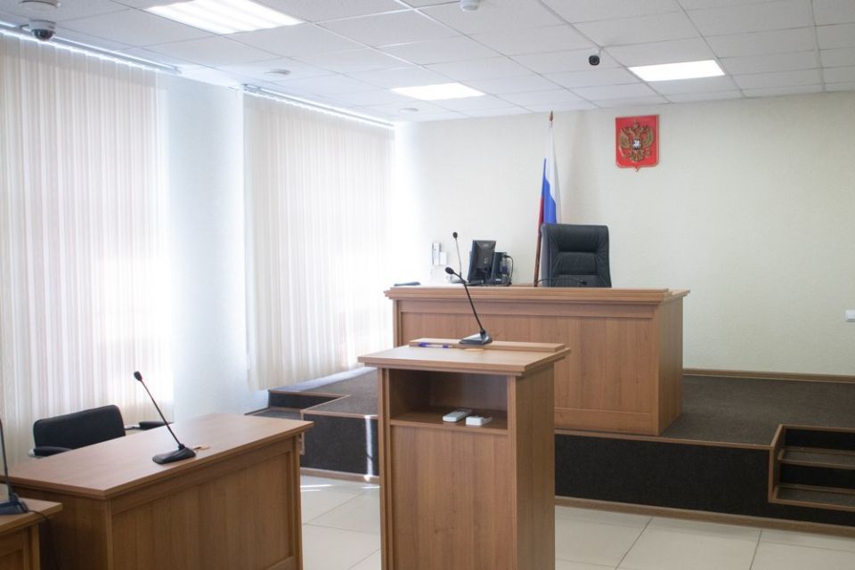 Жительница Пензенского района получила пособие на ребенка и оказалась в суде