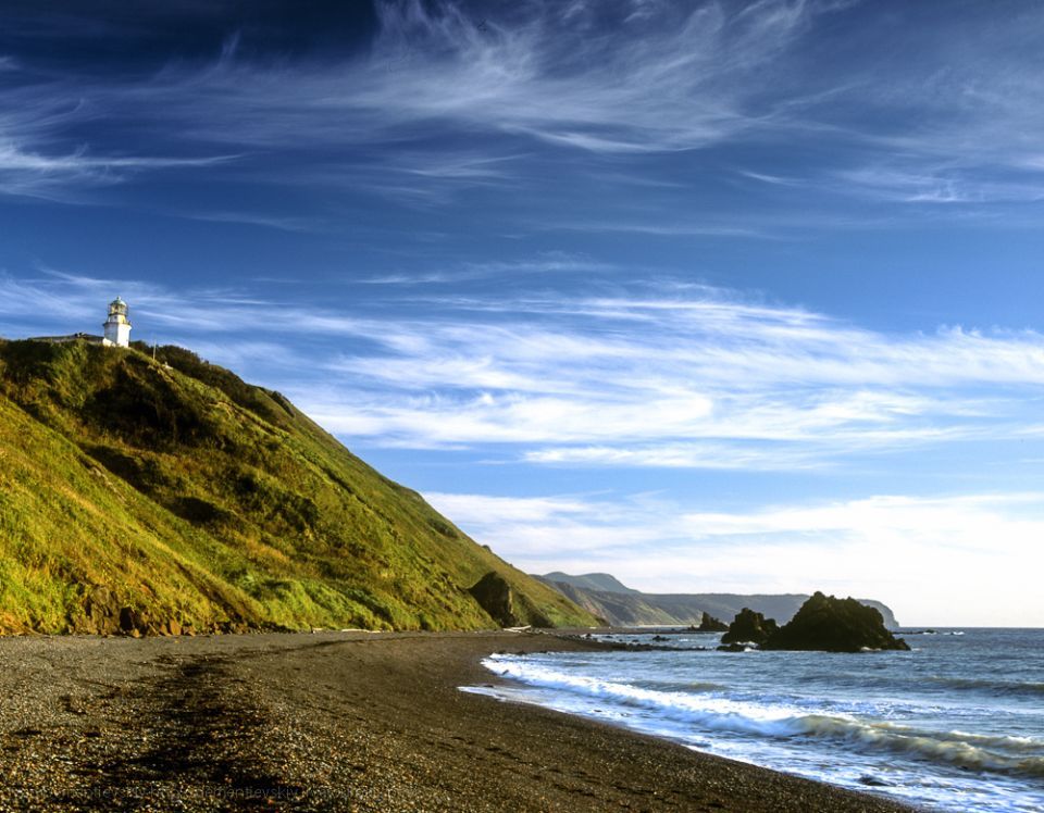 Три детских эндоскопа для осмотра носоглотки получила детская поликлиника Южно-Сахалинска