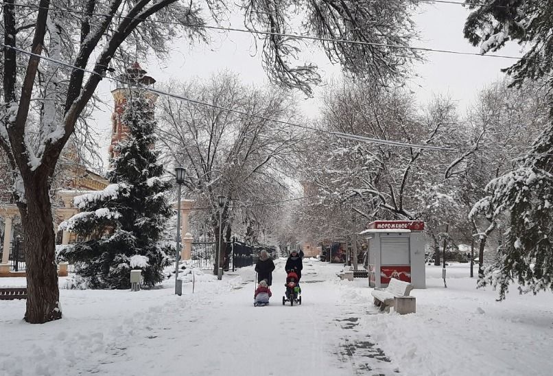 Молодые волгоградцы покупают жилье с господдержкой