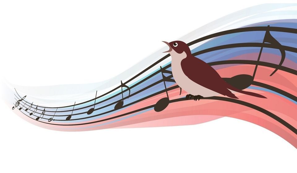 В Курской области по 1 марта проходит акция «Культура по MAXимуму»