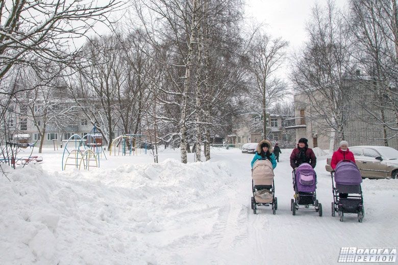 19 тысяч многодетных семей Вологодчины получают поддержку по нацпроекту «Семья»