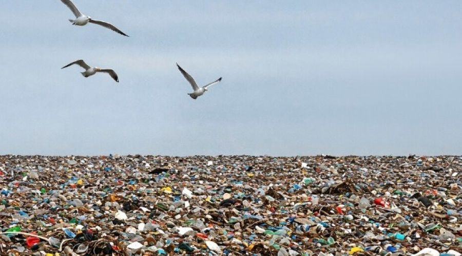 Срок эксплуатации барнаульского полигона ТКО пытаются растянуть